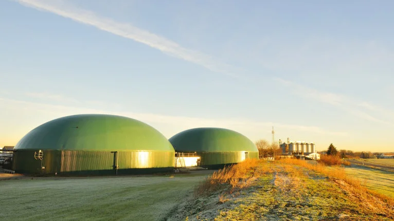 Bydgoszcz zamieni odpady roślinne w ekologiczny gaz i nawóz [źródło: www.pronatura.bydgoszcz.pl]