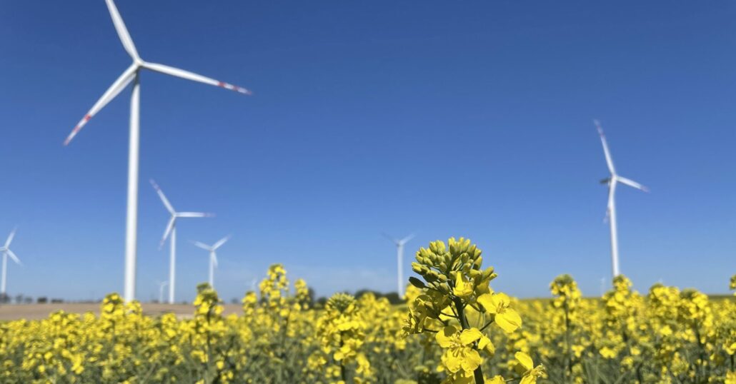 Ponad 236 mln zł zysku EBITDA i prawie 142 mln zł zysku netto. Grupa Polenergia publikuje wyniki za pierwszy kwartał 2024 roku