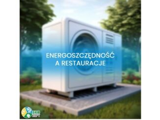 Jak restauracje mogą zwiększyć swoją energooszczędność?