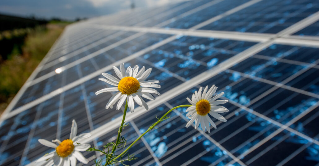 Energa rozpoczyna nowe inwestycje OZE w trzech województwach