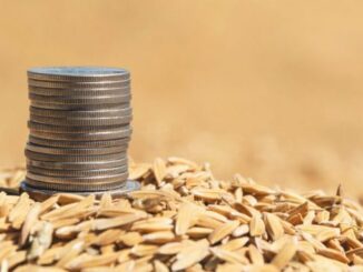 Czy opłaca się kupować pellet już teraz?