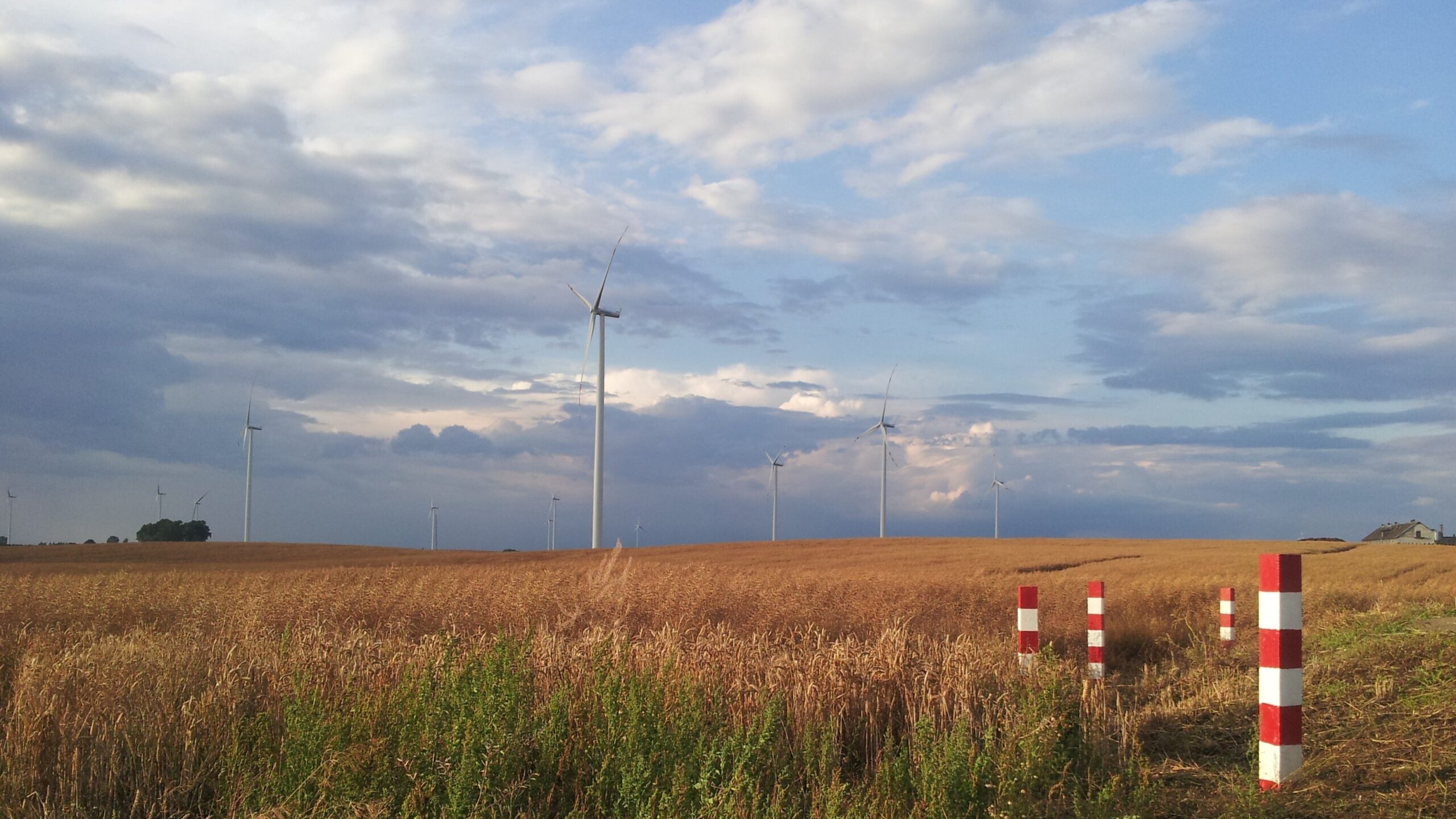 Polenergia Sprzedaż i mLeasing łączą siły w zielonej transformacji 2 Polenergia Sprzedaż i mLeasing łączą siły w zielonej transformacji