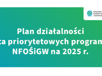 Nowa strategia, nowe programy – plany NFOŚiGW na 2025 r.