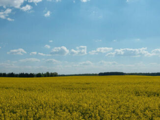Poznaj zalety kotłów ekologicznych