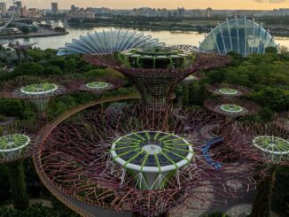 Gardens by the Bay i EDP rozbudowują instalacje fotowoltaiczne. Ogrody zasilane energią odnawialną