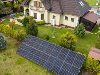 Kim jest prosument wirtualny, zbiorowy i indywidualny?