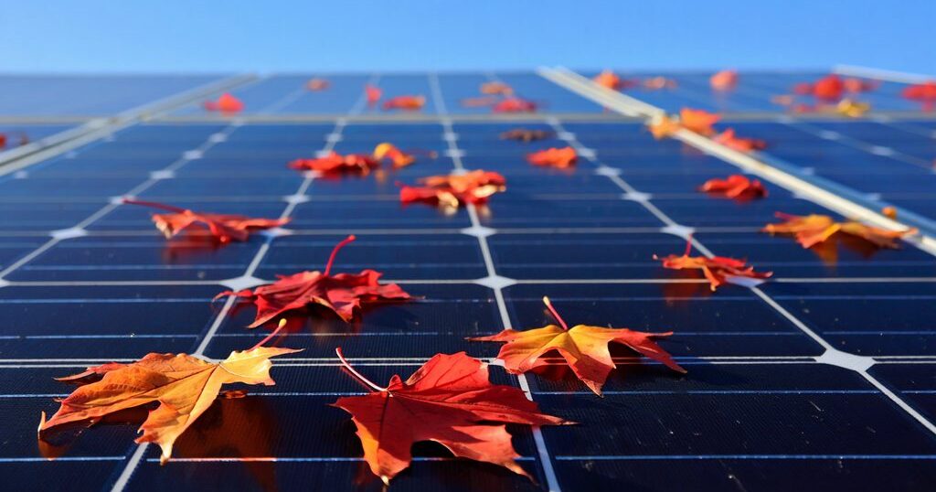 Jesienią też można wykorzystać energię ze słońca. Jak działa duet PV i magazynu energii?