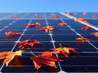 Jesienią też można wykorzystać energię ze słońca. Jak działa duet PV i magazynu energii?
